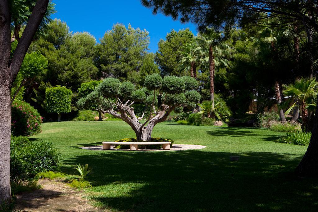 Jardines De Amaltea Lorca (Murcia) Exterior foto