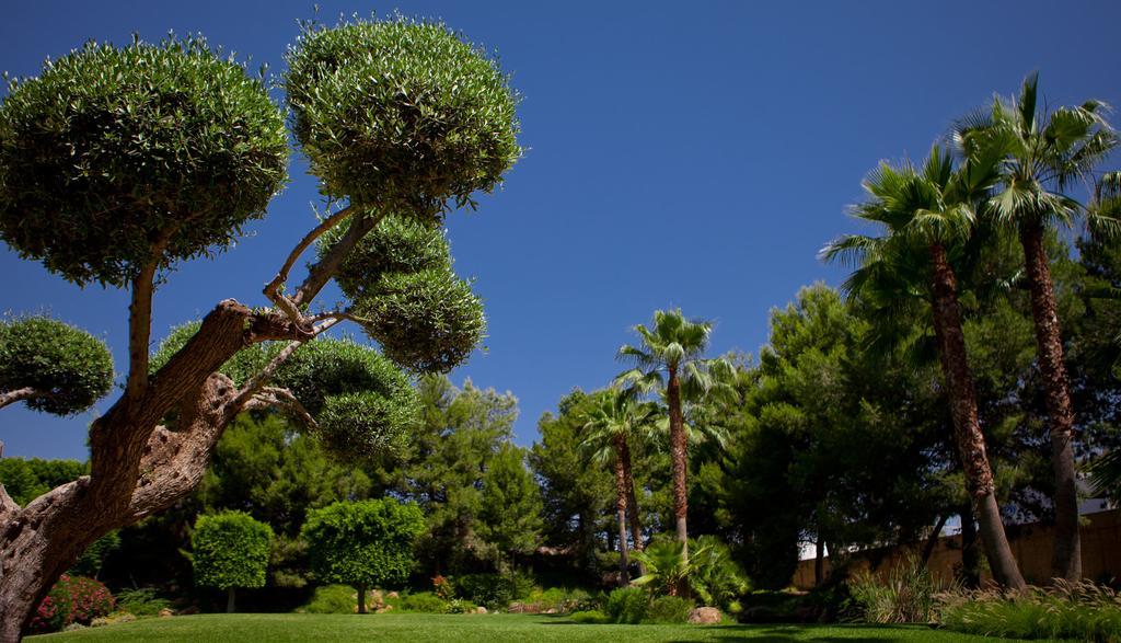 Jardines De Amaltea Lorca (Murcia) Exterior foto
