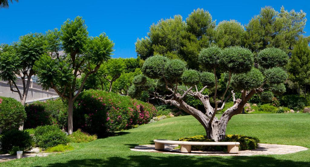 Jardines De Amaltea Lorca (Murcia) Exterior foto